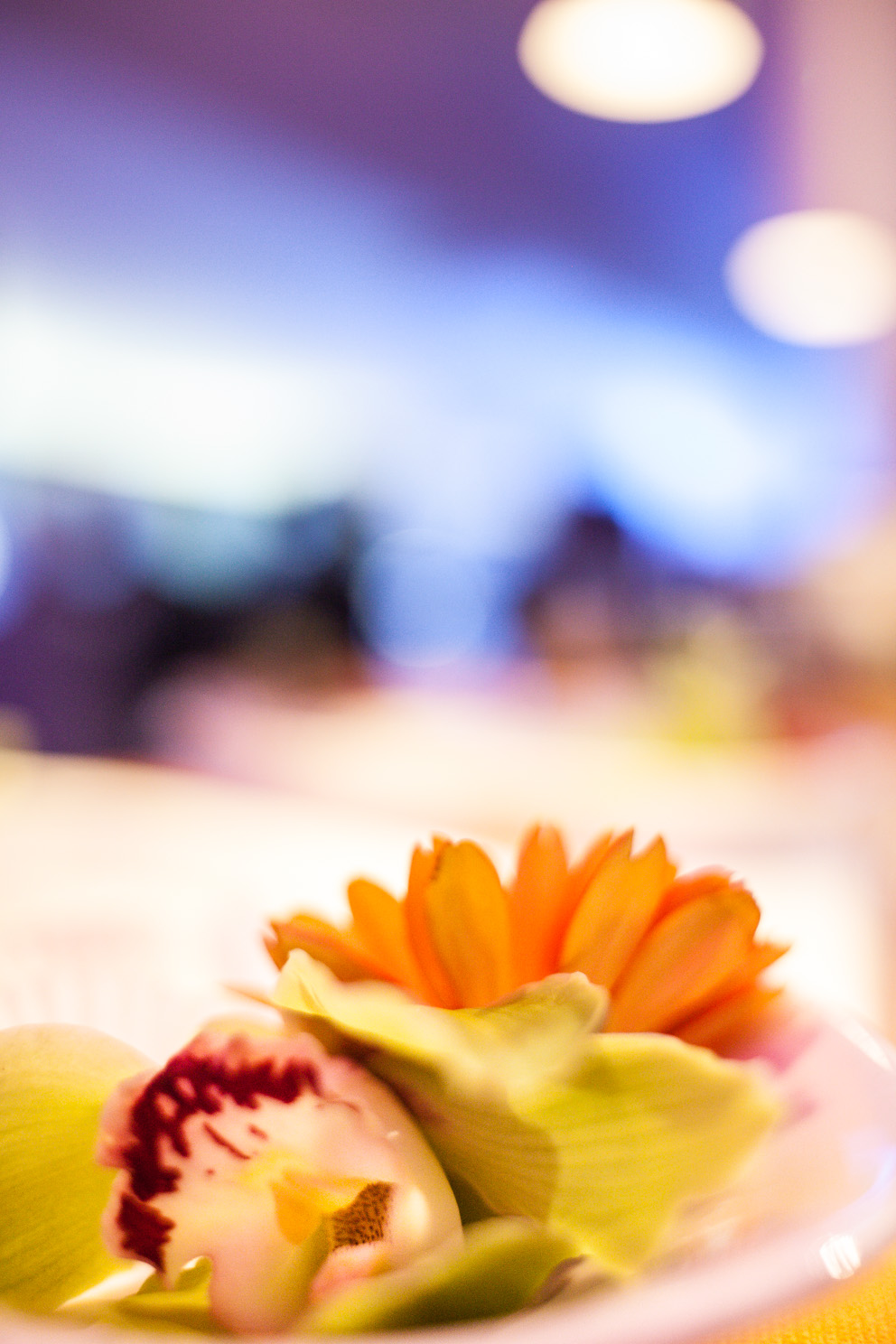 Arroz Com Leite Fotografo de Casamento Sao Paulo